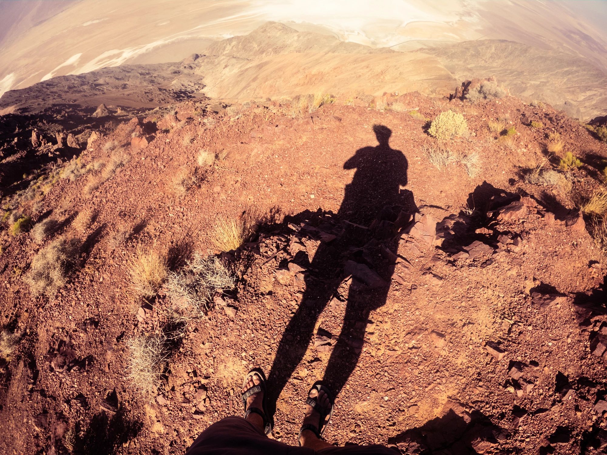 Desert terrain with warm editorial tones